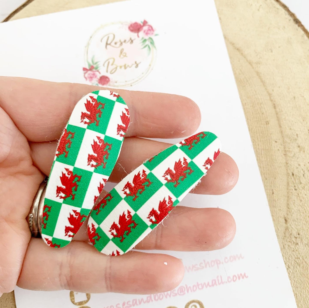 Welsh flag St David’s Day snap clips set