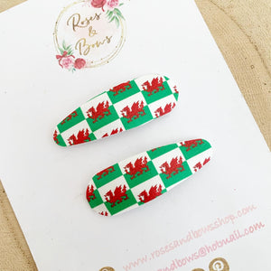 Welsh flag St David’s Day snap clips set